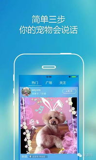 凯发k8体育APP