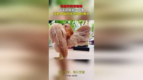 乐鱼电竞竞猜网APP