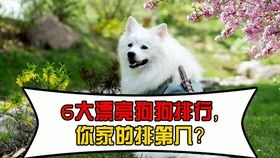 熊猫体育官方app下载