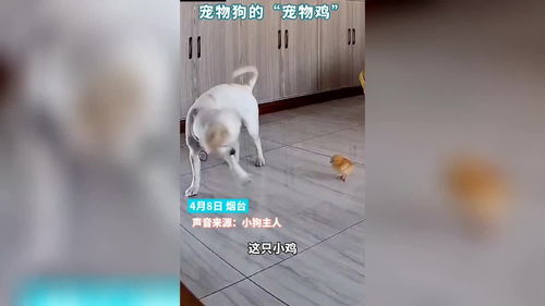 乐鱼体育APP官网