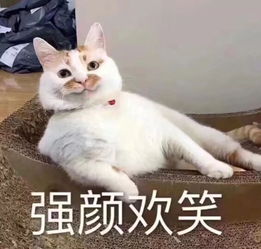 足球竞猜app下载安卓