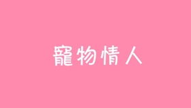 kaiyun体育最新版安装app