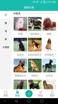 中国体育彩票最新版本app