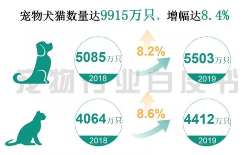 英皇体育app官方版