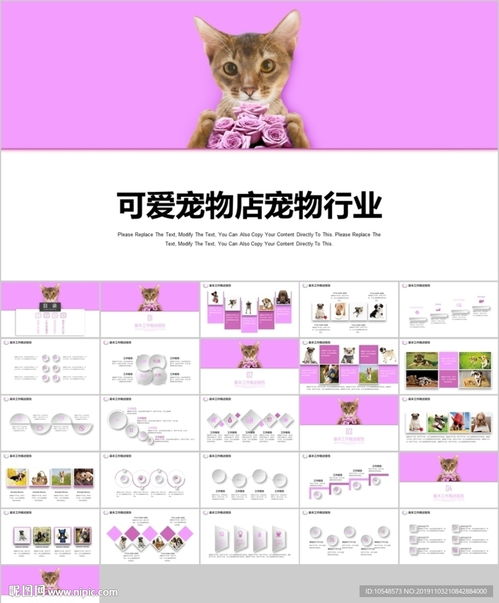 亚美体育app官网登录入口手机版