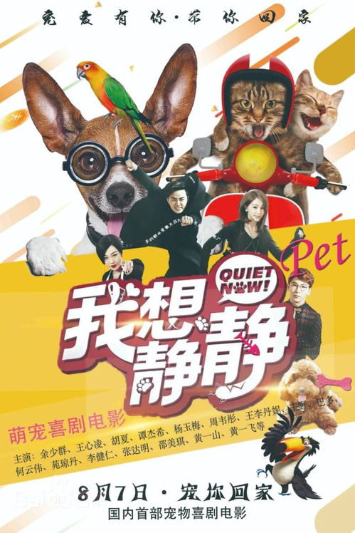 足球竞猜app介绍