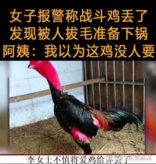 诺亚体育官方app下载安装