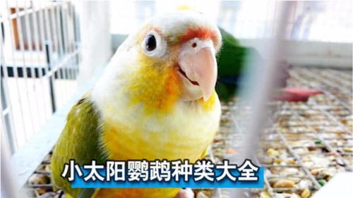 千亿体育官网新版app下载