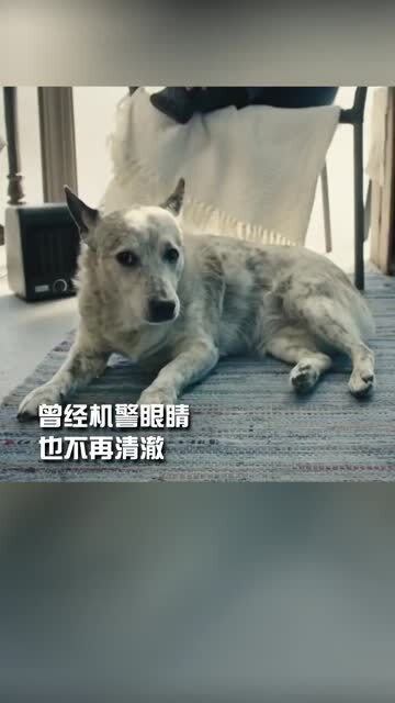 kaiyun官方网站下载官网