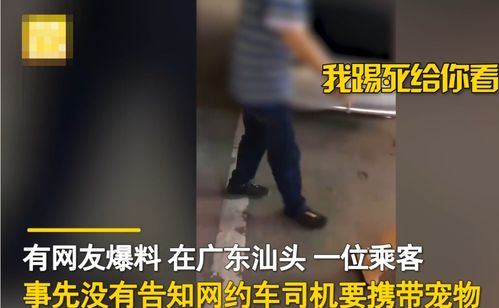 下载雷速体育app下载