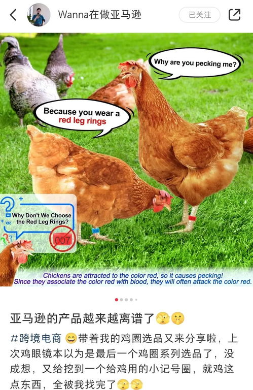 嗨体育app下载