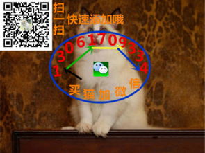 熊猫体育官方版app