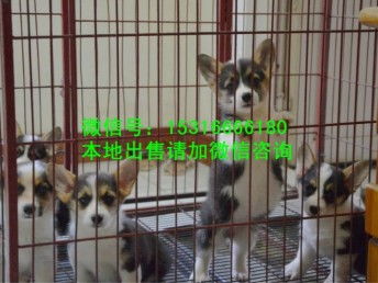 鸿博体育app下载登陆不上