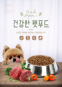kaiyun官方网站app下载安装