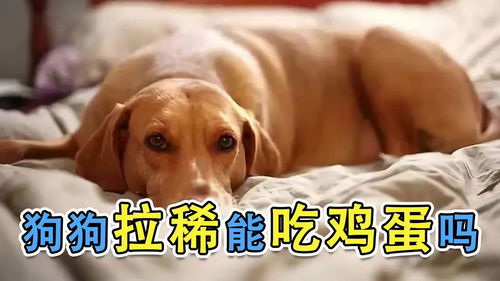 开云app最新版下载