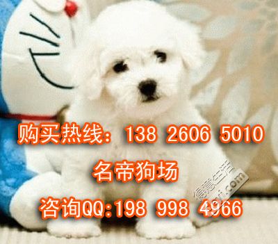 明升88体育官网app登录