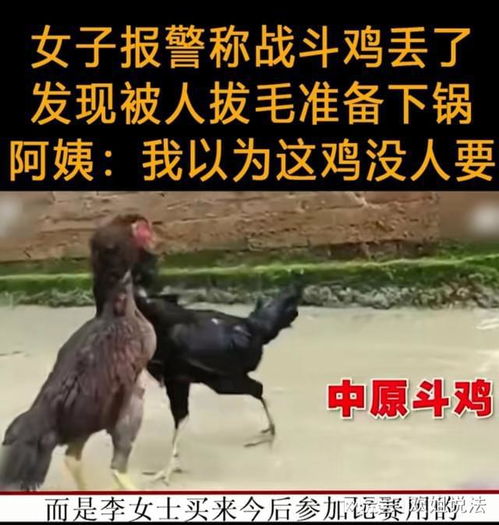 真人发牌百家家乐