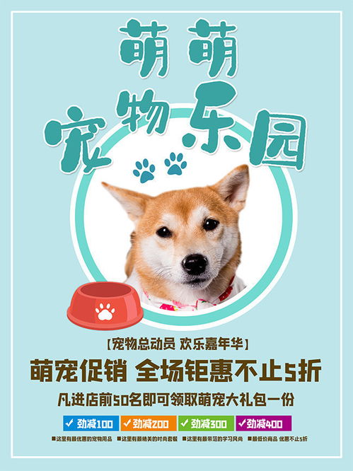 开云最新版本app下载