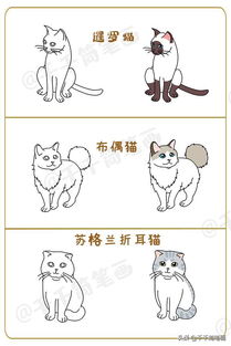 熊猫体育app下载入口官网