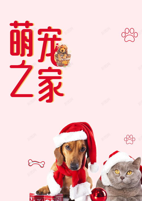 足球竞猜app介绍