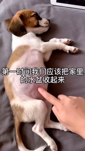 众博体育APP