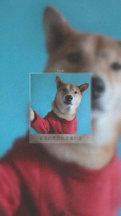 AG体育娱乐App下载