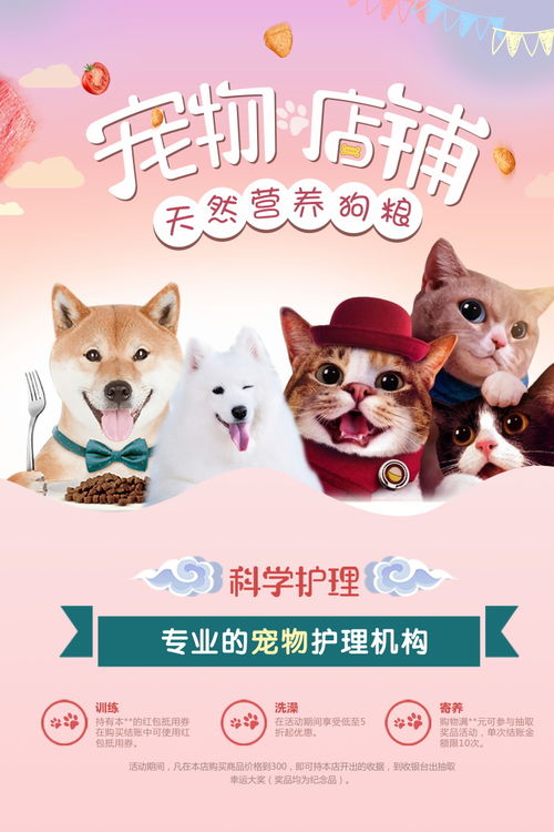 亚科lol竞猜app