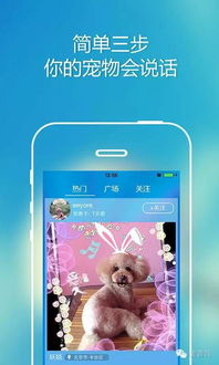 江南app体育官网