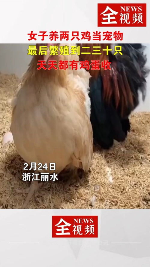 乐竞体育app登录入口在哪