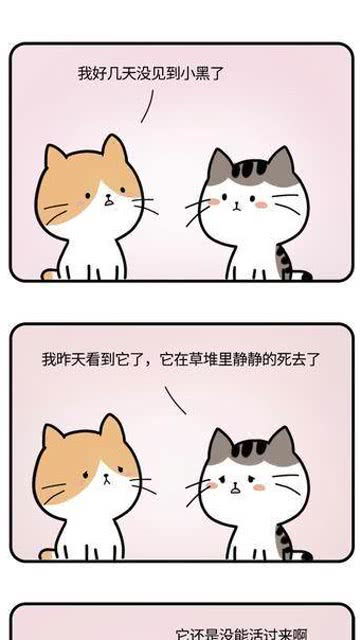 买球赛用什么app知乎