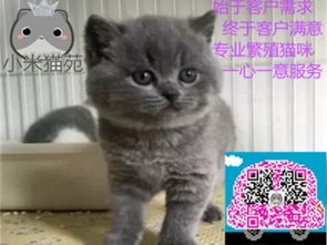 电竞之家竞猜APP