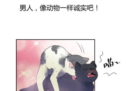 亚科lol竞猜app