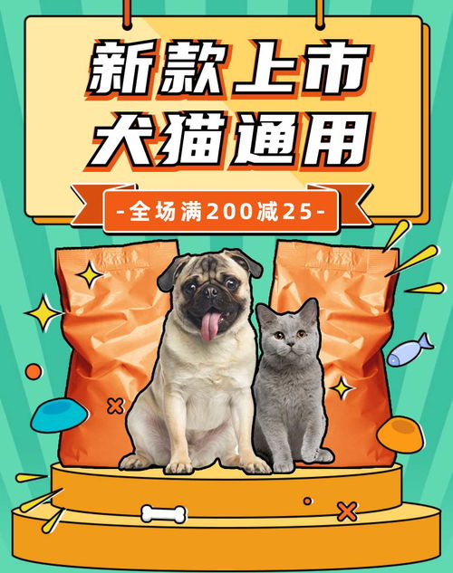 足球竞猜app