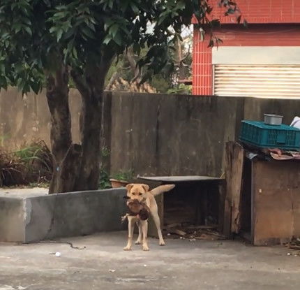 亚洲杯冠亚军竞猜彩票