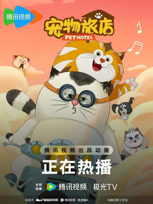 开云综合app登录