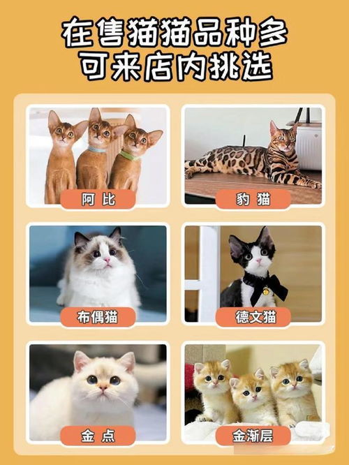 kaiyun官方app星级指数