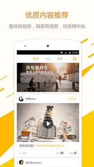 足球用什么app