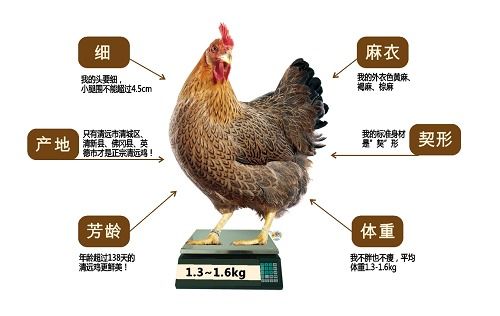 下载 a8体育