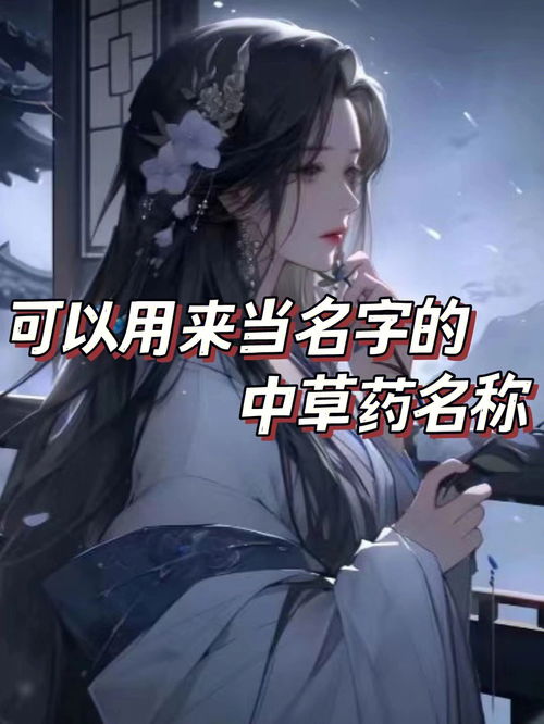 幻影体育app