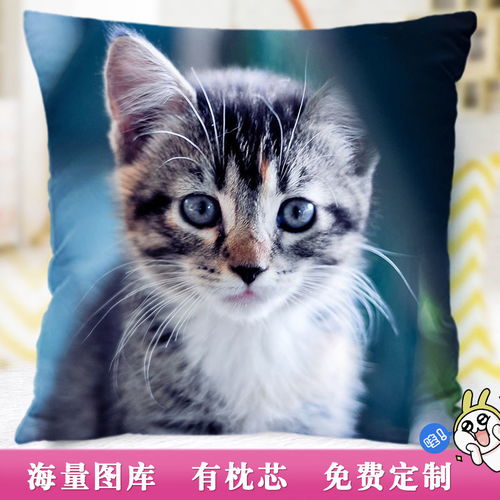 猛犸体育app下载