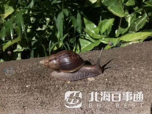 大嬴体育app登陆不上去