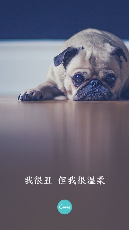 bally中国官网网站