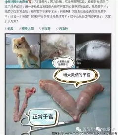 乐米体育苹果版下载