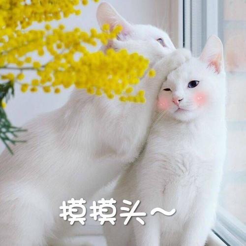 lol竞猜app下载