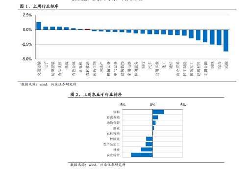 劲爆体育app免费下载