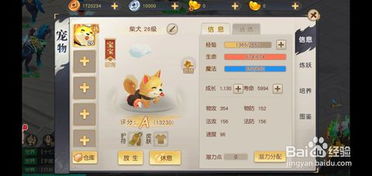 赛事竞猜新版APP