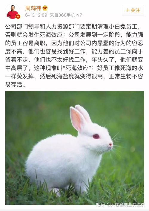 易博体育app下载官网