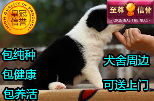 中国福利彩票官方网站官网app