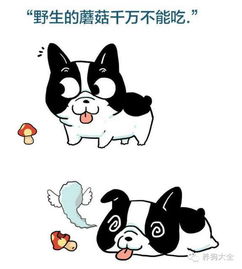 lol电竞竞猜是怎么玩的