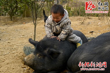 真人电子娱乐平台游戏